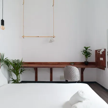 Hostal Columbus Rooftop